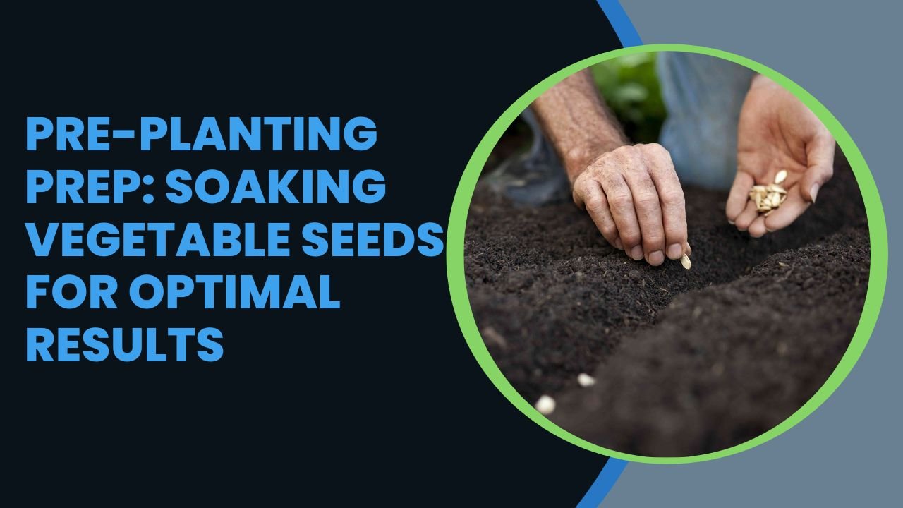 Pre-Planting Prep: Soaking Vegetable Seeds for Optimal Results
