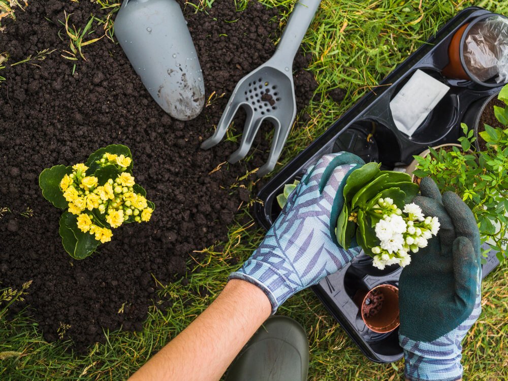 Preparing Your Garden for Planting